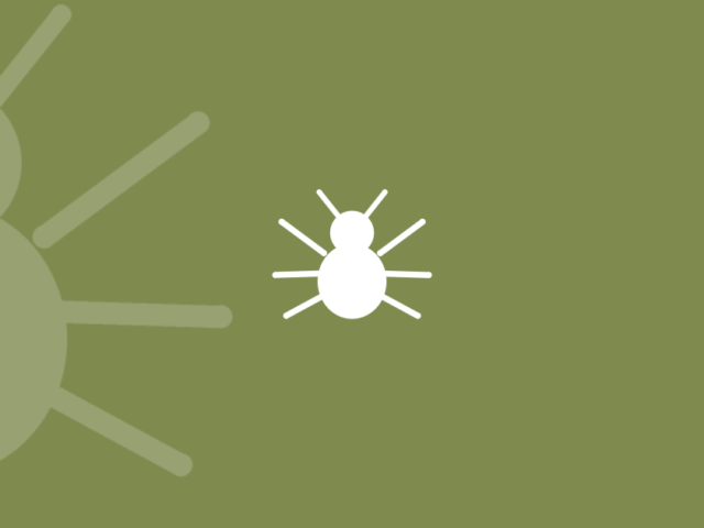How Do You Know if You Have Pubic Lice?