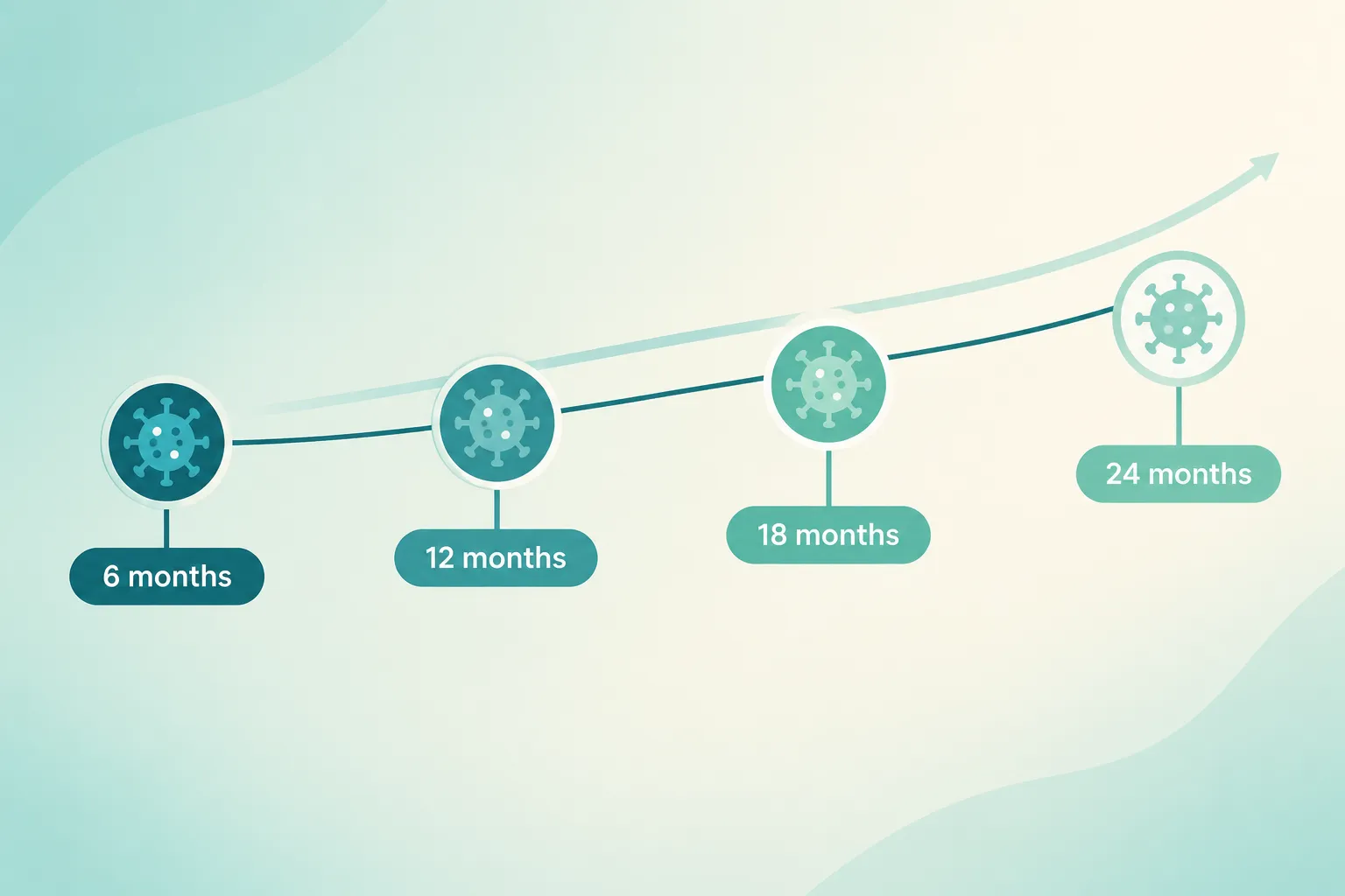 How Long Does HPV Take to Clear?
