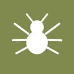Pubic lice